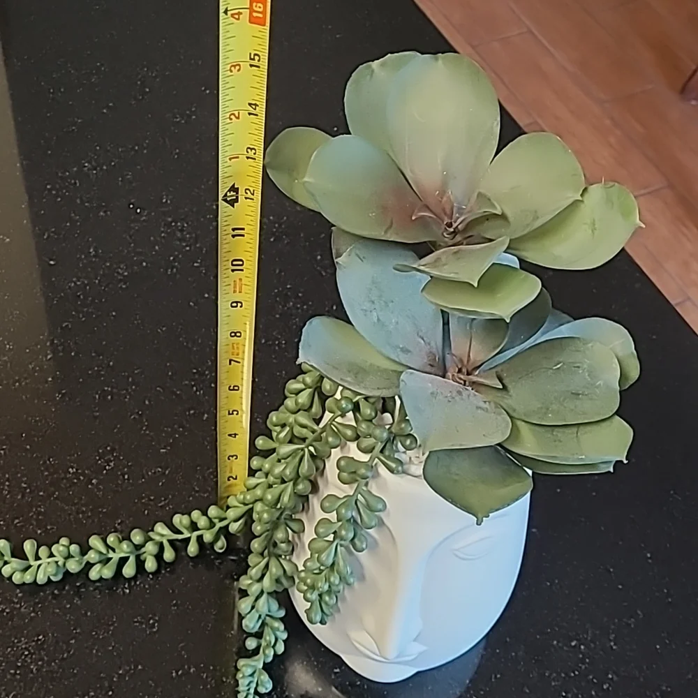 Succulent Face Pot